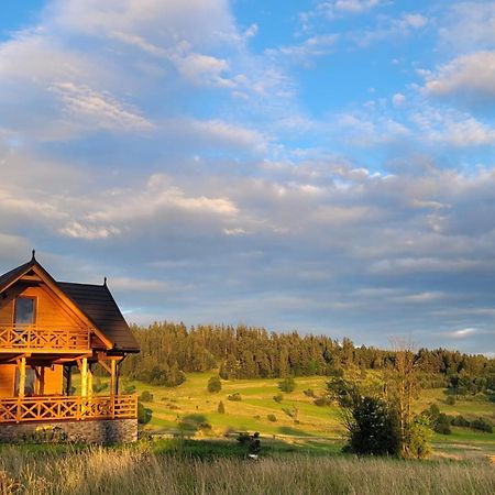 Hamajdowka Villa Zubrzyca Gorna Екстериор снимка
