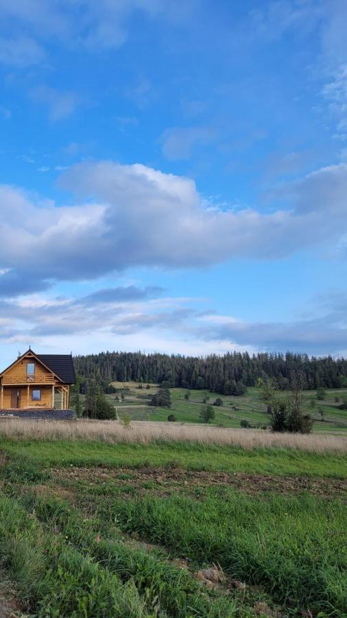Hamajdowka Villa Zubrzyca Gorna Екстериор снимка